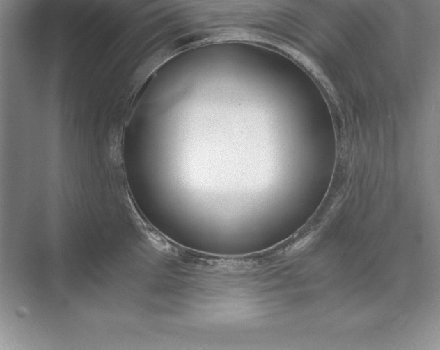 X0000071350905200607071721