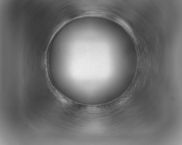 X0000071350907200607071721