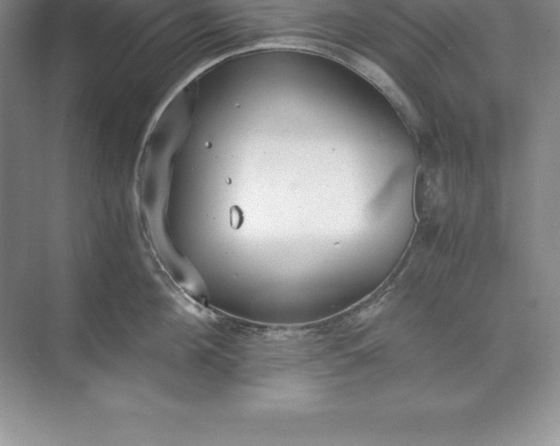 X0000071350908200607071721