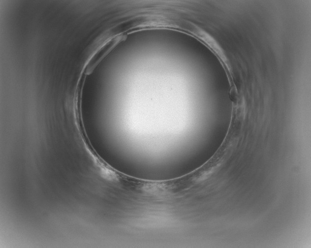 X0000071350909200607071721