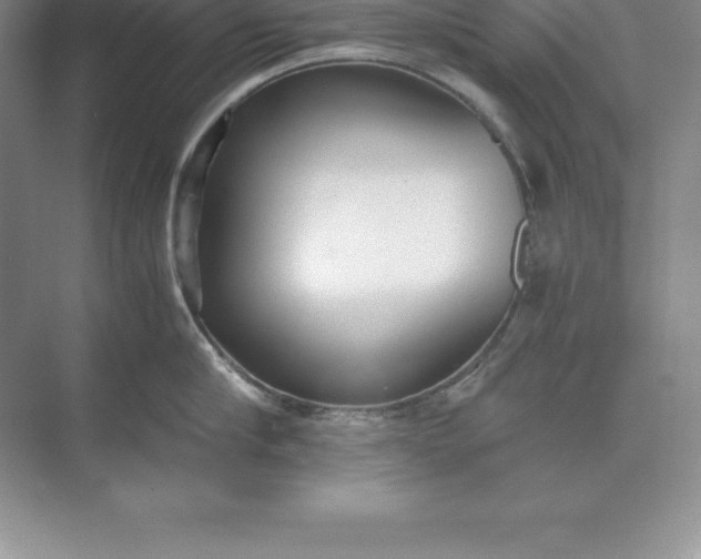 X0000071350910200607071721