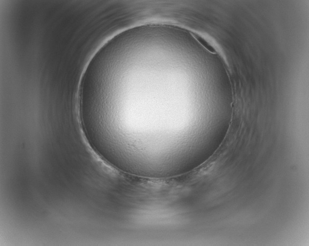 X0000071350911200607071721