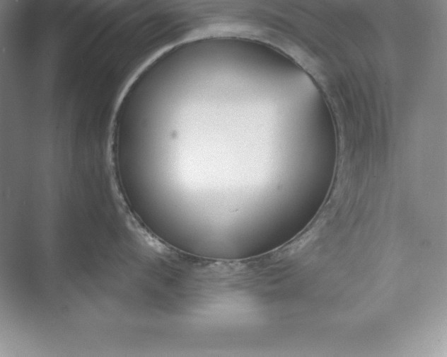 X0000071350912200607071721