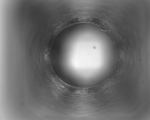 X0000071350914200607071720