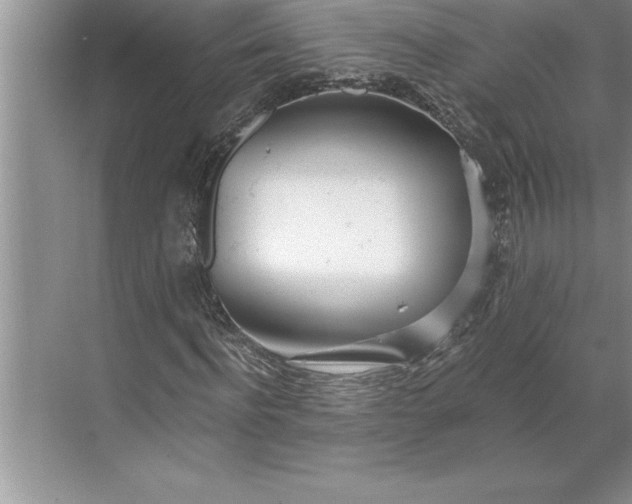 X0000071350916200607071720