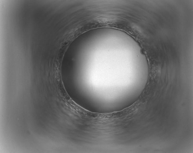 X0000071350917200607071720