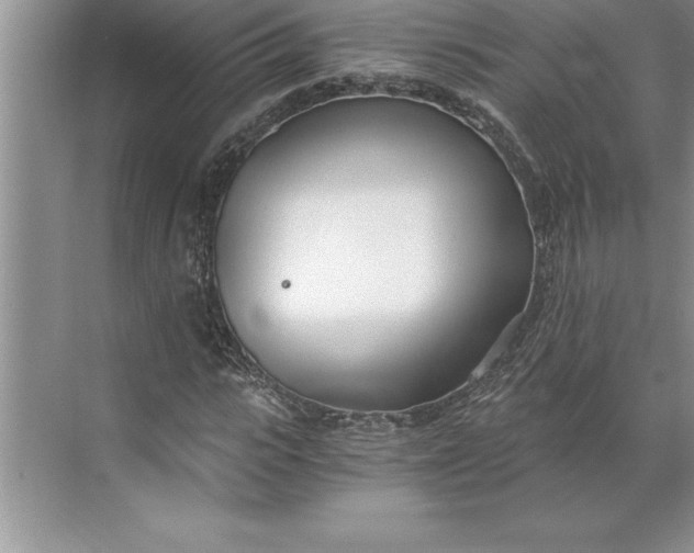 X0000071350919200607071720