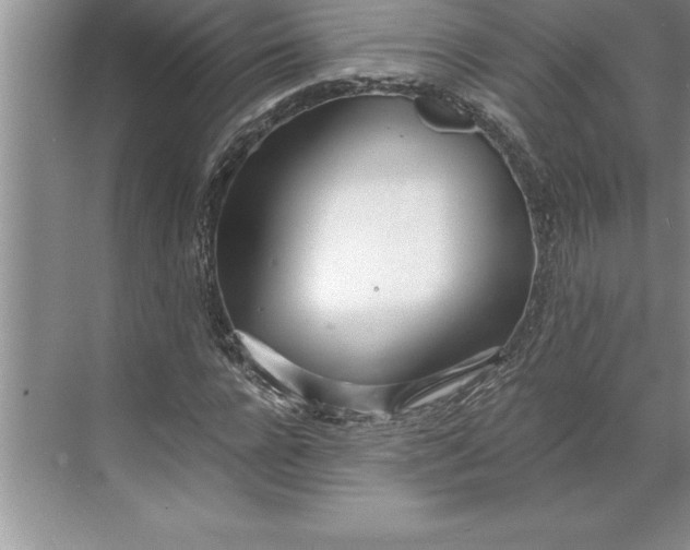 X0000071350920200607071720