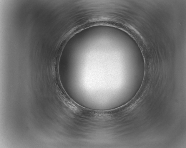 X0000071350921200607071720