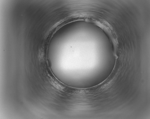 X0000071350922200607071720