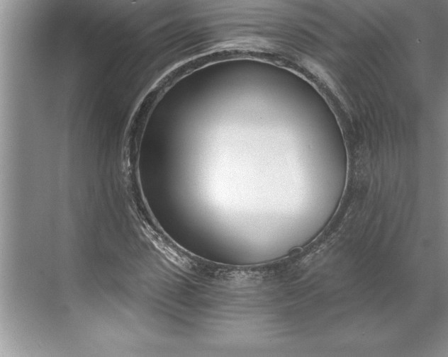 X0000071350923200607071720