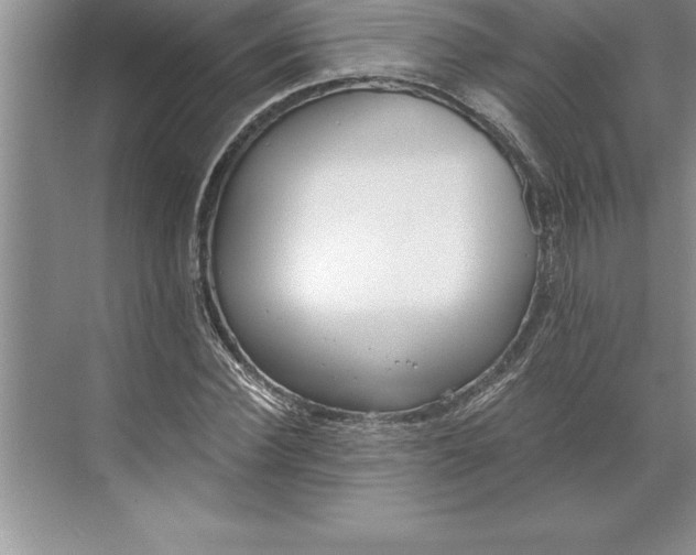 X0000071350924200607071720