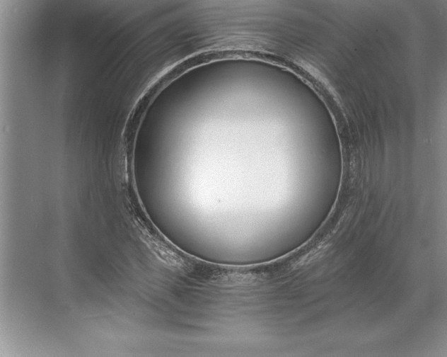 X0000071350925200607071720