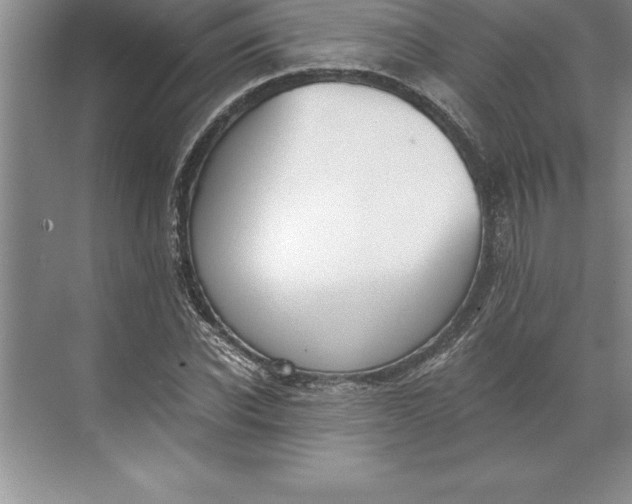 X0000071350926200607071720