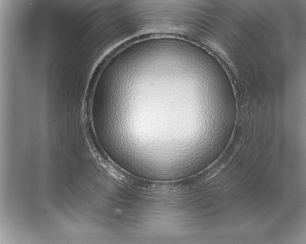 X0000071350928200607071720