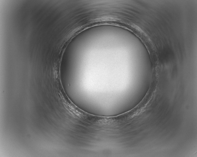 X0000071350929200607071720