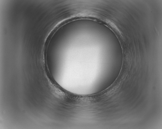 X0000071350934200607071720