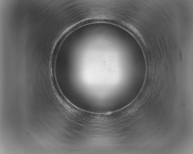 X0000071350935200607071720