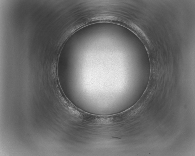 X0000071350937200607071720