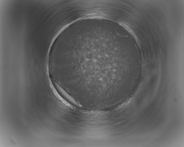 X0000071350941200607071720