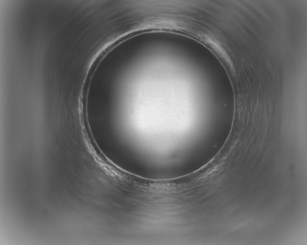 X0000071350944200607071720