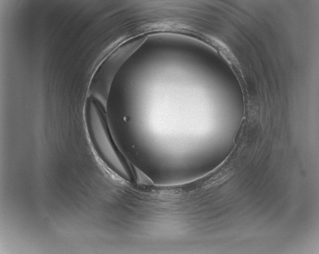 X0000071350946200607071720