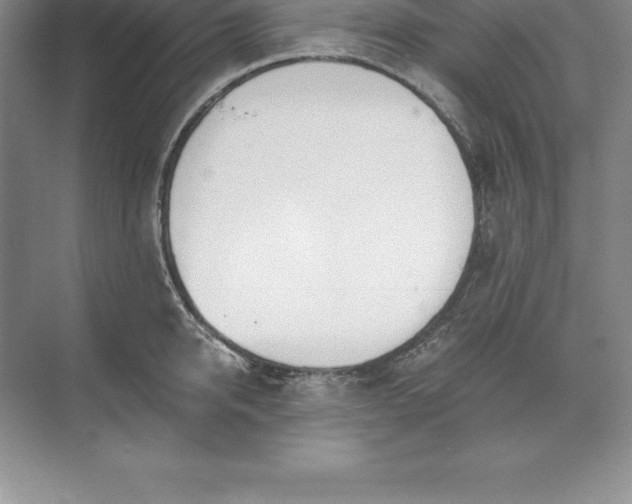 X0000071350950200607071720