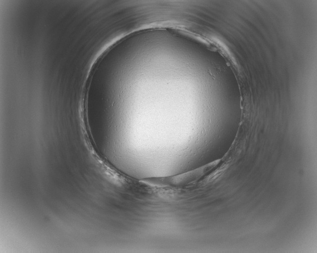 X0000071350952200607071720