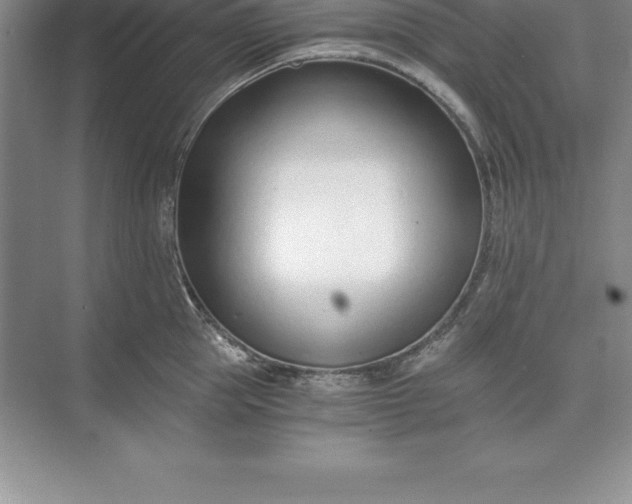 X0000071350953200607071720