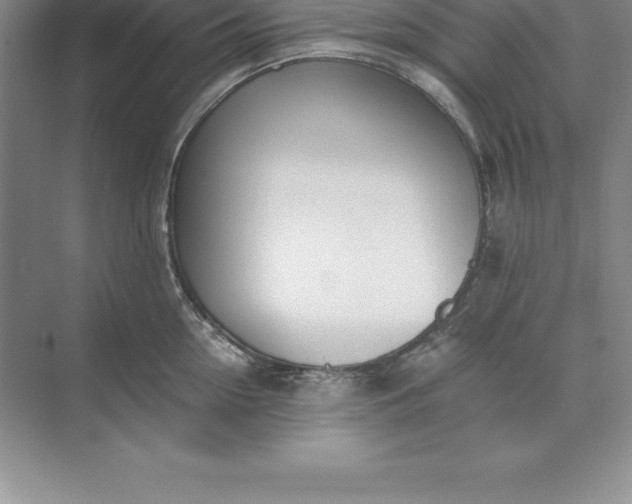 X0000071350954200607071720