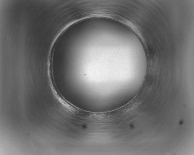 X0000071350955200607071721