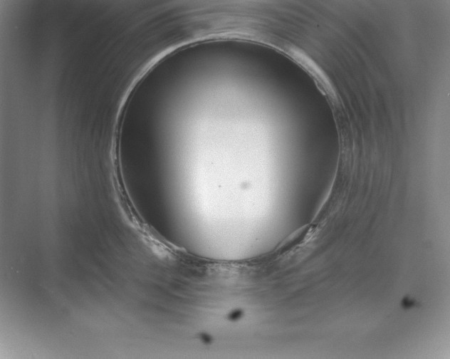 X0000071350956200607071721