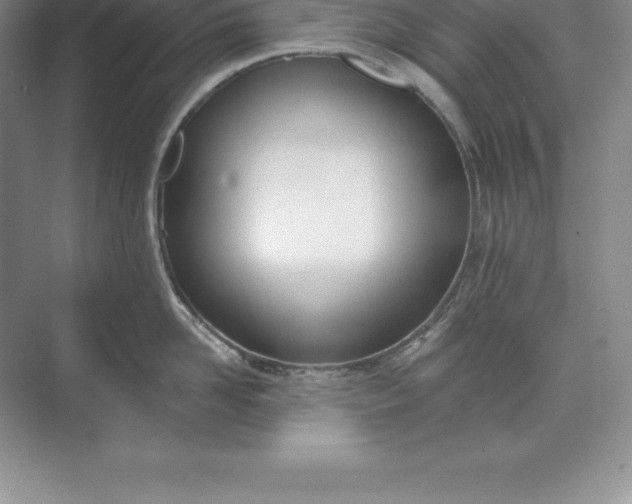 X0000071350958200607071721