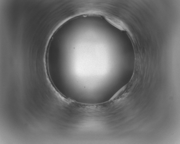 X0000071350959200607071721