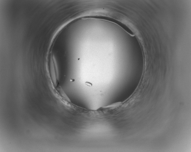 X0000071350960200607071721