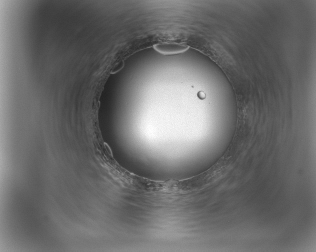 X0000071350961200607071720