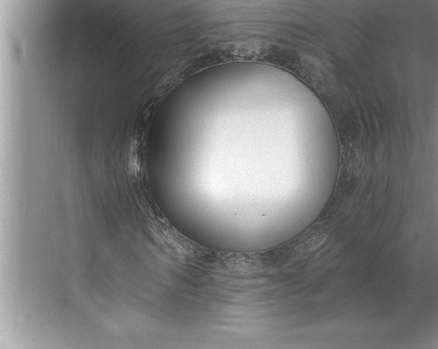 X0000071350962200607071720