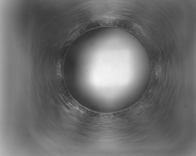 X0000071350964200607071720