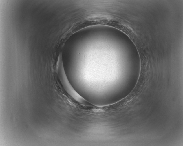 X0000071350965200607071720