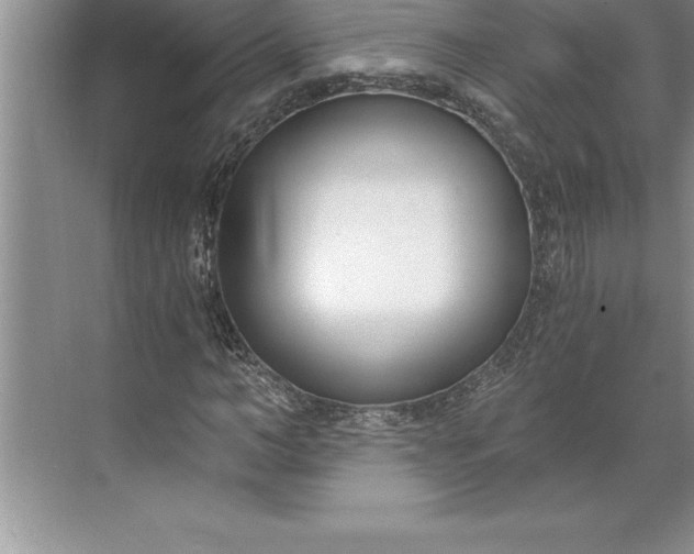 X0000071350966200607071720