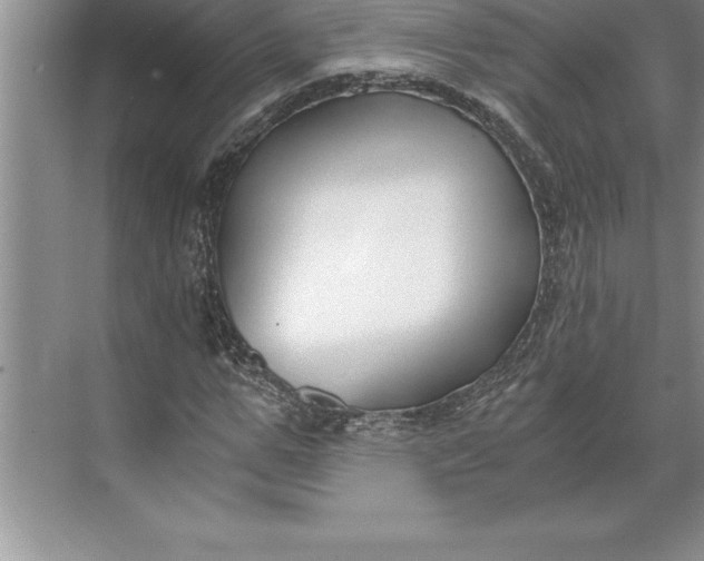 X0000071350967200607071720