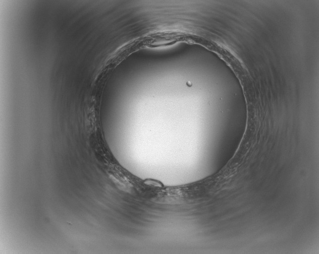 X0000071350968200607071720