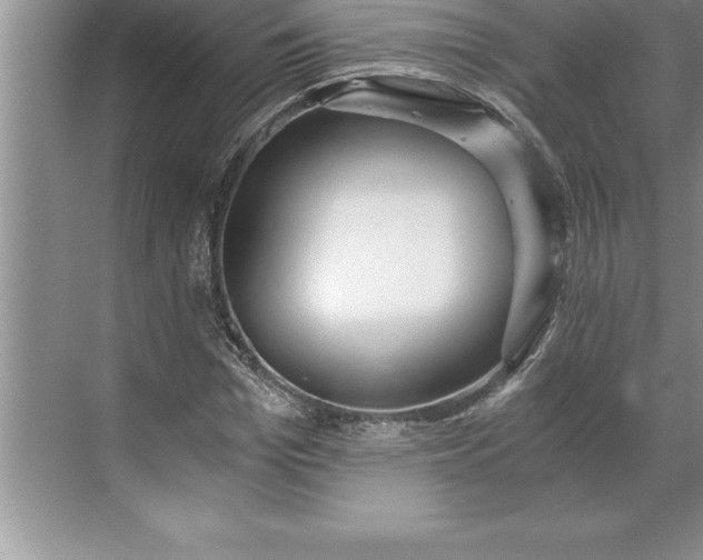 X0000071350969200607071720