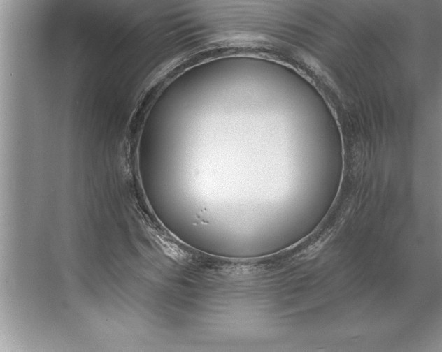 X0000071350970200607071720