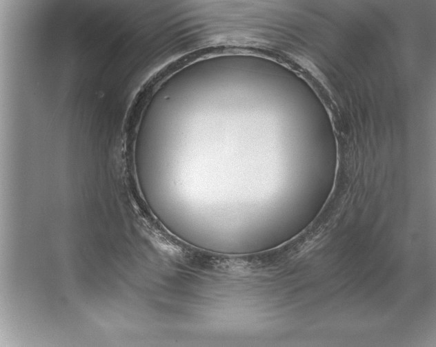 X0000071350971200607071720