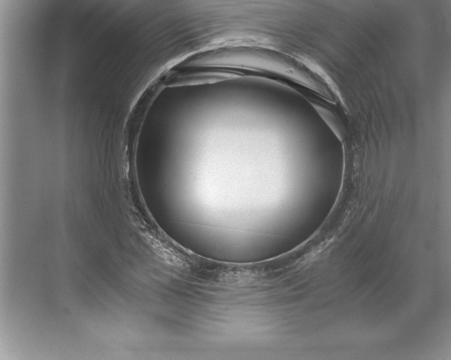 X0000071350973200607071720