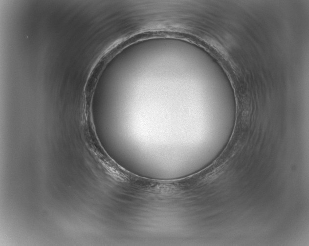 X0000071350974200607071720