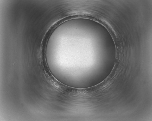 X0000071350975200607071720