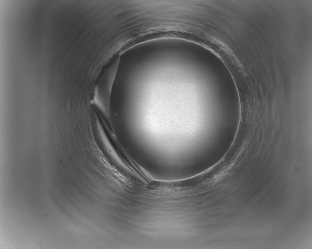 X0000071350977200607071720