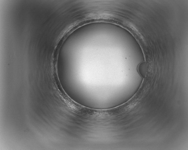 X0000071350978200607071719